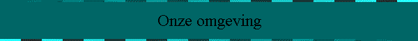 Onze omgeving